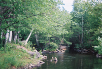 Sunapee, NH - Sugar River, Summer